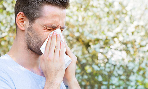 Effective Treatments For Summer Allergies